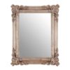 Georgia Neoclassical Symmetry Wall Mirror In Silver